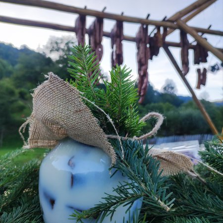 Gârniță Haiducească